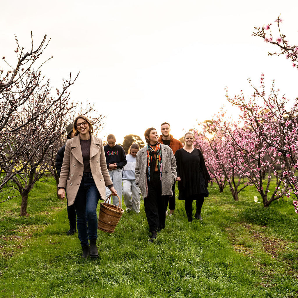 Ticket for Golden Hour Orchard Tour - Blossom Season - September 11th